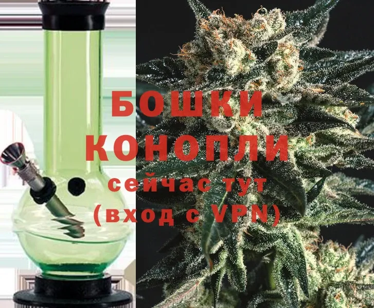 Каннабис SATIVA & INDICA  Жиздра 